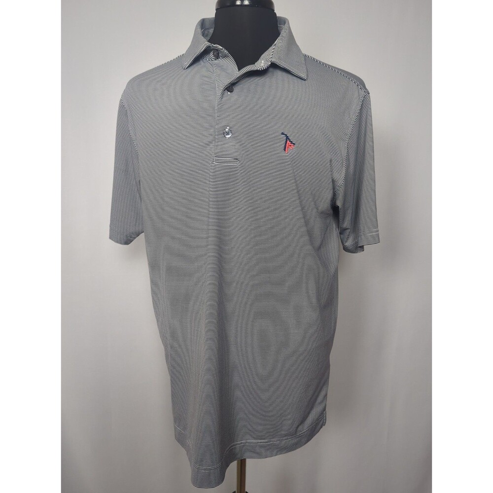 FootJoy Polo Shirt Mens Medium Blue Stripe Performance Golf Moisture Wicking
